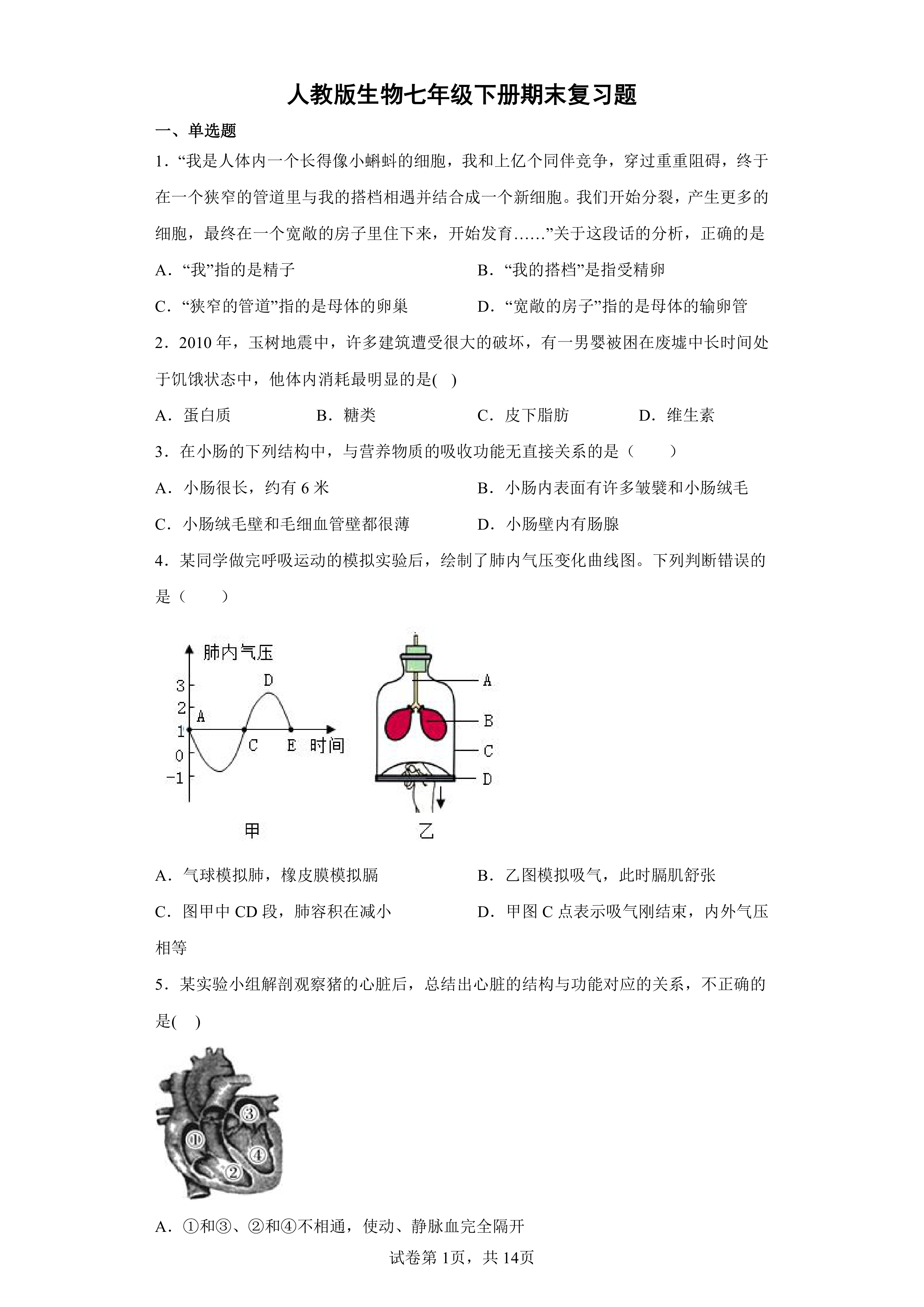 人教版生物七年级下册期末复习题
